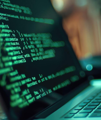 Business Website security